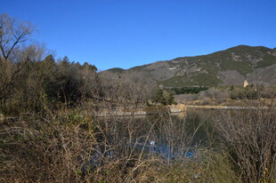 公园风景  