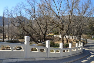 公园风景 