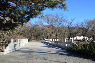 公园风景  