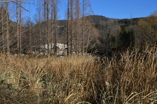 公园风景 