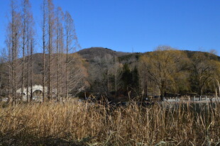 公园风景 