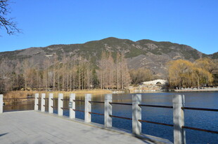 公园风景 