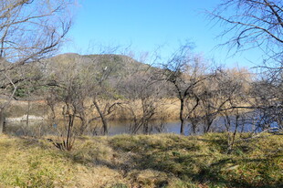 公园风景  