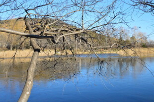 公园风景 