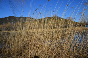 公园风景  