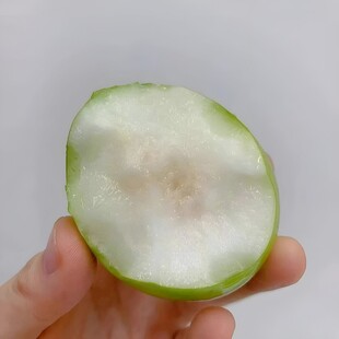 大青枣