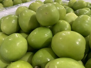 大青枣