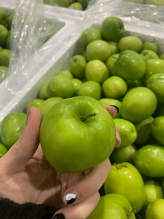 大青枣