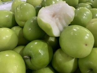 大青枣