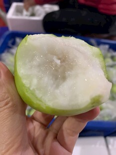 大青枣