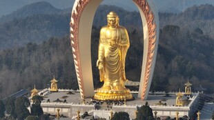 九江 东林寺大佛 航拍