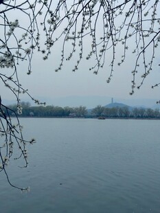 颐和园风景