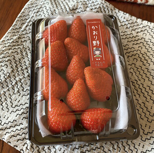 草莓