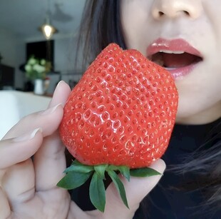 草莓