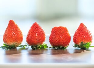 草莓