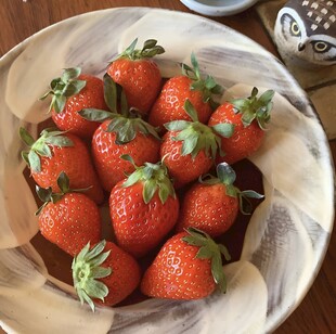草莓