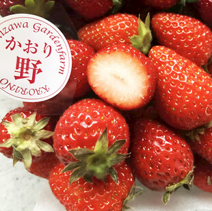 草莓