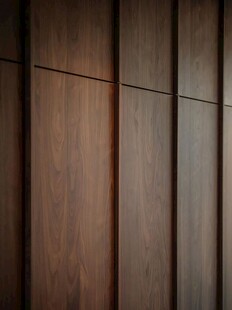 骨骼线胡桃木复古中式风格柜子门