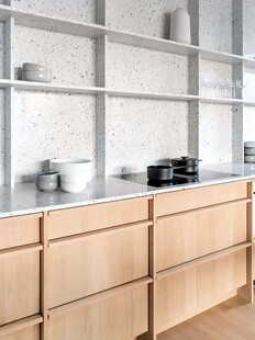 骨骼线胡桃木复古中式风格柜子门