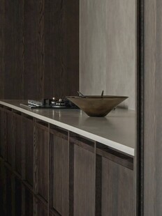 骨骼线胡桃木复古中式风格柜子门