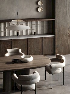 骨骼线胡桃木复古中式风格柜子门