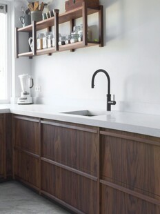 骨骼线胡桃木复古中式风格柜子门