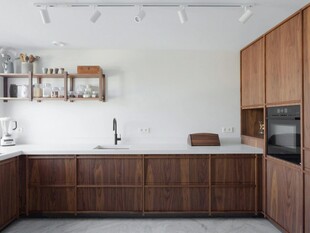 骨骼线胡桃木复古中式风格柜子门