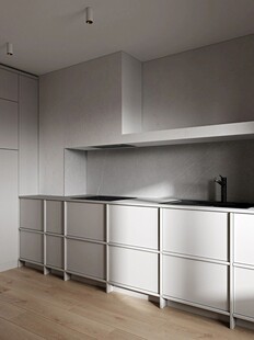 骨骼线胡桃木复古中式风格柜子门