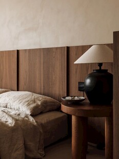 骨骼线胡桃木复古中式风格柜子门