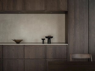 骨骼线胡桃木复古中式风格柜子门