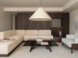 骨骼线胡桃木复古中式风格柜子门