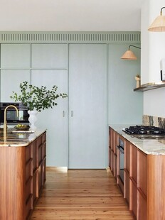 骨骼线胡桃木复古中式风格柜子门