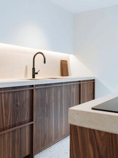 骨骼线胡桃木复古中式风格柜子门