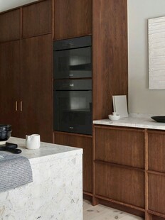 骨骼线胡桃木复古中式风格柜子门