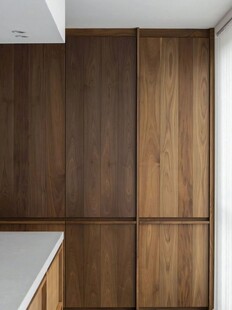 骨骼线胡桃木复古中式风格柜子门