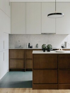 骨骼线胡桃木复古中式风格柜子门