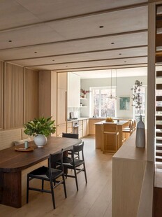 骨骼线胡桃木复古中式风格柜子门