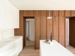 骨骼线胡桃木复古中式风格柜子门