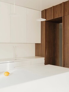 骨骼线胡桃木复古中式风格柜子门