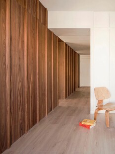 骨骼线胡桃木复古中式风格柜子门