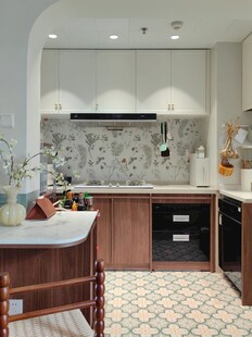 骨骼线胡桃木复古中式风格柜子门