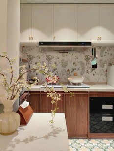 骨骼线胡桃木复古中式风格柜子门