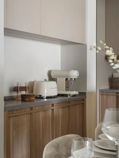 骨骼线胡桃木复古中式风格柜子门