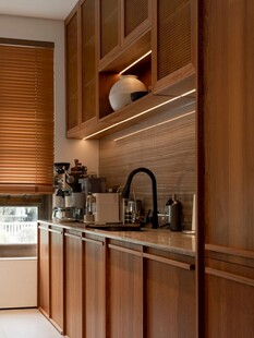 骨骼线胡桃木复古中式风格柜子门