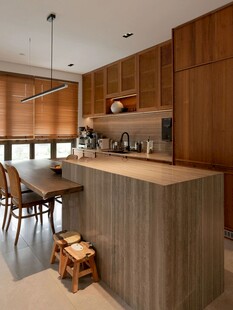 骨骼线胡桃木复古中式风格柜子门