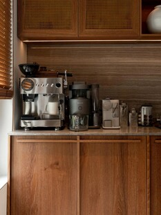 骨骼线胡桃木复古中式风格柜子门