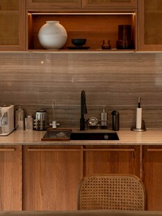 骨骼线胡桃木复古中式风格柜子门