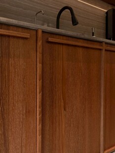 骨骼线胡桃木复古中式风格柜子门