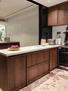 骨骼线胡桃木复古中式风格柜子门