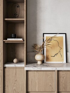 骨骼线胡桃木复古中式风格柜子门